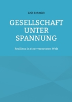 Gesellschaft unter Spannung: Resilienz in einer vernetzten Welt (German Edition) 3695144882 Book Cover