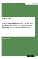 Die Welt der Bilder - Ottilie, Luciane und die Rolle der Kunst in Johann Wolfgang Goethes "Die Wahlverwandtschaften 3638783006 Book Cover