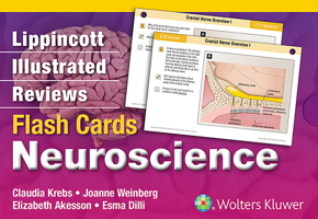 Lippincott Illustrated Reviews Flash Cards: Neuroscience 1451194641 Book Cover