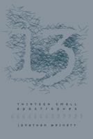 13 Small Apostrophes: Poems 0982724675 Book Cover