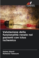 Valutazione della funzionalità renale nei pazienti con ictus ischemico (Italian Edition) 6209805264 Book Cover