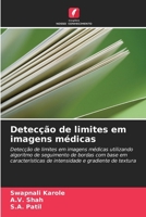 Detecção de limites em imagens médicas (Portuguese Edition) 6208833922 Book Cover