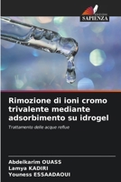 Rimozione di ioni cromo trivalente mediante adsorbimento su idrogel (Italian Edition) 620743725X Book Cover