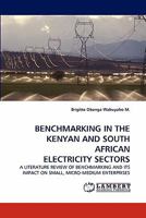 Benchmarking in the Kenyan and South African Electricity Sectors 3843392196 Book Cover