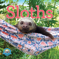 Original Sloths Mini Wall Calendar 2027: Celebrate Life in the Slow Lane 1523533714 Book Cover