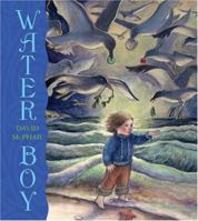 Water Boy 081091784X Book Cover