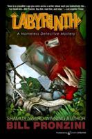 Labyrinth (Nameless Detective, Book 6) 0770104320 Book Cover