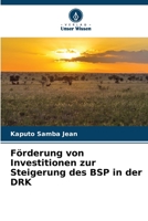 Förderung von Investitionen zur Steigerung des BSP in der DRK 6206213846 Book Cover
