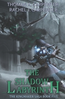 The Shadow Labyrinth B09DF9QLC5 Book Cover
