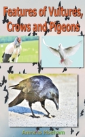 Features of Vultures, Crows and Pigeons B0BH7V3G25 Book Cover