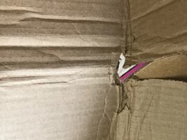 Fastest Man in the World: The Tony Volpentest Story 1940784077 Book Cover