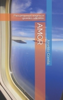 AMOR: Para pequenas viagens e grandes odisseias (Portuguese Edition) B08HTGG6NX Book Cover