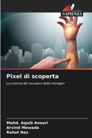 Pixel di scoperta: La scienza del recupero delle immagini (Italian Edition) 6208763754 Book Cover