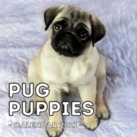 Pug Puppies Calendar 2021: 16-Month Calendar, Cute Gift Idea For Pug Lovers Men & Women B0951PGW1M Book Cover