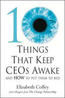 10 Things That Keep Ceos Awake: An How to Put Them to Bed 0077099893 Book Cover