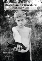 Down Came a Blackbird 0805020012 Book Cover