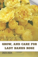 Grow, and Care For Lady Banks Rose: Become flowers expert B0CRJ4XNT2 Book Cover