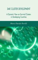Sme Cluster Development, a Dynamic View of Survival Clusters in Developing Countries 023000797X Book Cover