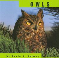 Owls 1560656034 Book Cover