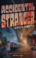 The Accidental Stranger: Book Two In The Black Springs Saga Paranormal Mystery Series B0H6ZVZMYY Book Cover