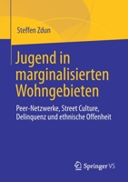 Jugend in marginalisierten Wohngebieten: Peer-Netzwerke, Street Culture, Delinquenz und ethnische Offenheit 3658327782 Book Cover