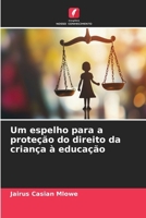 Um espelho para a proteção do direito da criança à educação (Portuguese Edition) 620997337X Book Cover