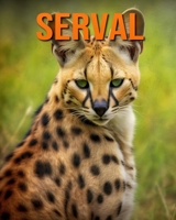 Serval: Datos e imágenes divertidas y fascinantes sobre los Serval B0DJ6M7GH5 Book Cover