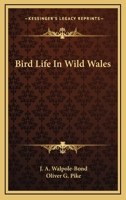 Bird Life in Wild Wales 0548484104 Book Cover