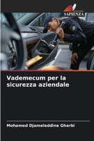 Vademecum per la sicurezza aziendale (Italian Edition) 6208343844 Book Cover