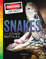 Snakes and Other Reptiles 1731638205 Book Cover