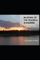 Musings of The Peaceful Wanderer: from Madness to meditation 1097622800 Book Cover