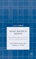 What Water is Worth: Overlooked Non-Economic Value in Water Resources 0230340768 Book Cover