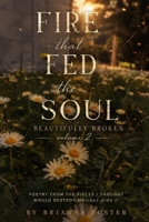 Fire That Fed The Soul: Beautifully Broken, Volume 2 B0H8MQT3FY Book Cover