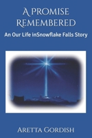 A Promise Remembered: An Our Life in Snowflake Falls Story B08R3JTVWH Book Cover