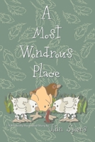 A Most Wondrous Place 1736633805 Book Cover