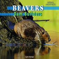 Beavers: Dam Builders 1448806984 Book Cover