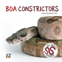 Boa Constrictors 168020307X Book Cover