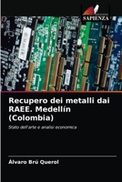 Recupero dei metalli dai RAEE. Medellín (Colombia) 620348962X Book Cover