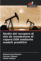 Studio del recupero di olio da inondazione di vapore EOR mediante modelli predittivi (Italian Edition) 6207856406 Book Cover