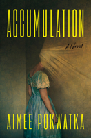 Accumulation B0FLD42T2Z Book Cover
