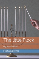 The little Flock: rightly divided B08WZ4P222 Book Cover