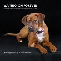 Waiting On Forever: Portraits of Dogs Waiting For Their Forever Home 1500505218 Book Cover