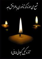 Candle Burns 1588140709 Book Cover