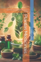 Plantas Medicinais: Guia Prático de Formulações de Tisanas e Infusões (Portuguese Edition) B0FLJV5LRF Book Cover
