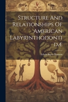 Structure And Relationships Of American Labyrinthodontidæ 1022335413 Book Cover