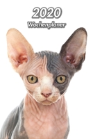 2020 Wochenplaner: Sphynx Katze 107 Seiten, 15cm x 23cm ca. A5 Taschenkalender Terminplaner Tagebuch Terminkalender Organizer f�r Katzenliebhaber 1671984307 Book Cover