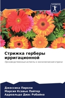 ??????? ??????? ?????????????: ???????????????? ??????? ? ????????????? ?????? (Russian Edition) 6207638778 Book Cover