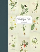 Vintage Botany Prints: Vol. 8 1721997458 Book Cover