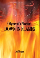 Odyssey of a Phoenix: Down in Flames 1637285051 Book Cover