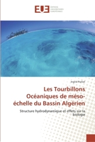 Les Tourbillons Océaniques de méso-échelle du Bassin Algérien 6131520828 Book Cover